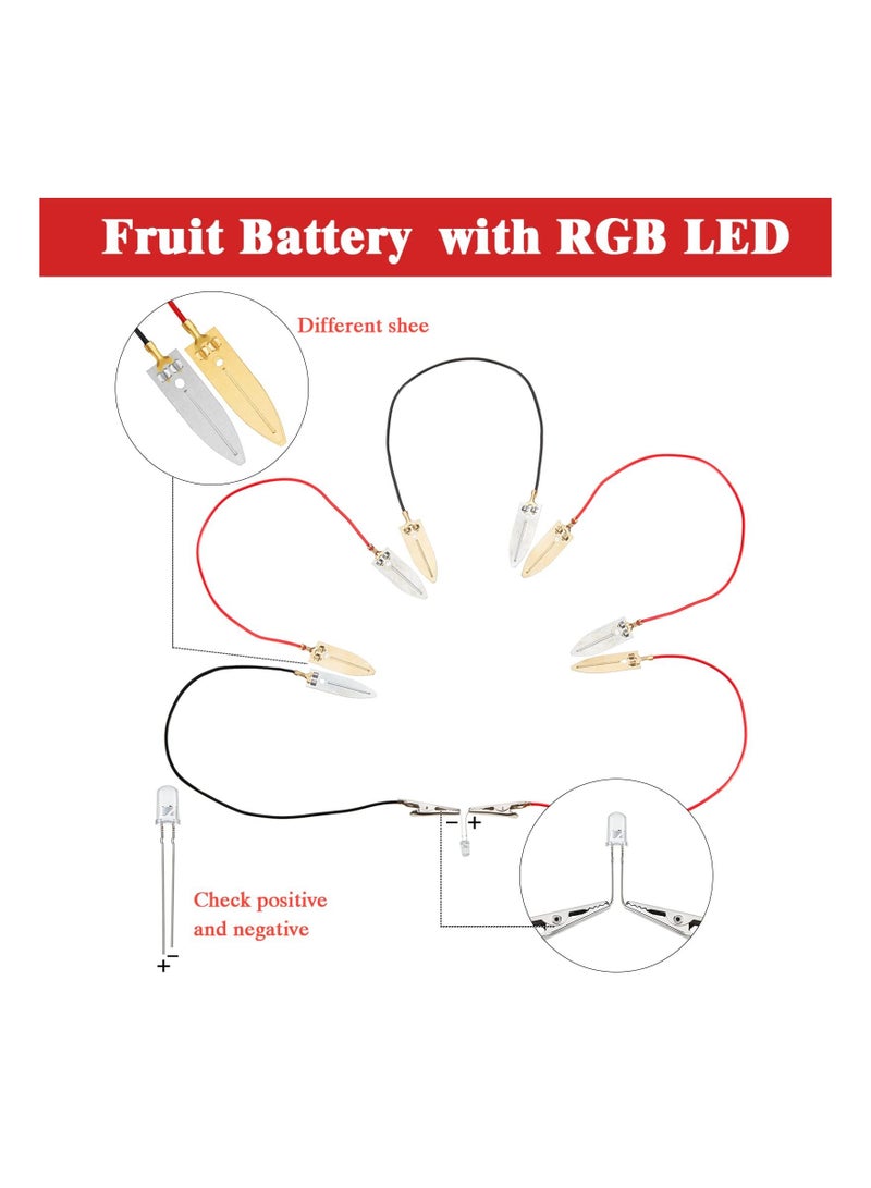 4 Sets Fruit Battery Kit, Lemon-Potato Battery Science Experiment Set Physics Teaching Tool Educational Toy Clock Hands-On Science Toy STEM Exploration Activity Bioenergy Experiment Kit for Students