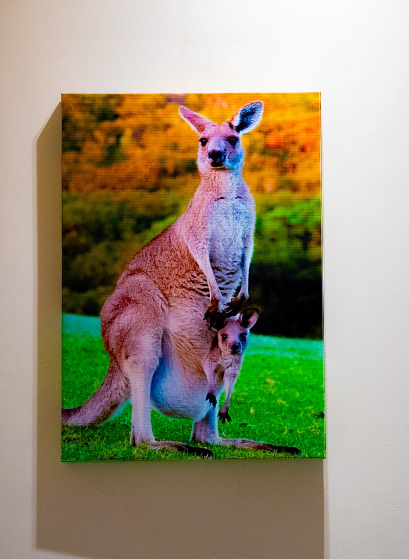 Mother Kangaroo Canvas Wall Frame