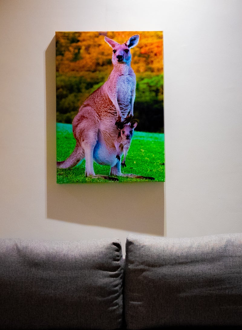 Mother Kangaroo Canvas Wall Frame