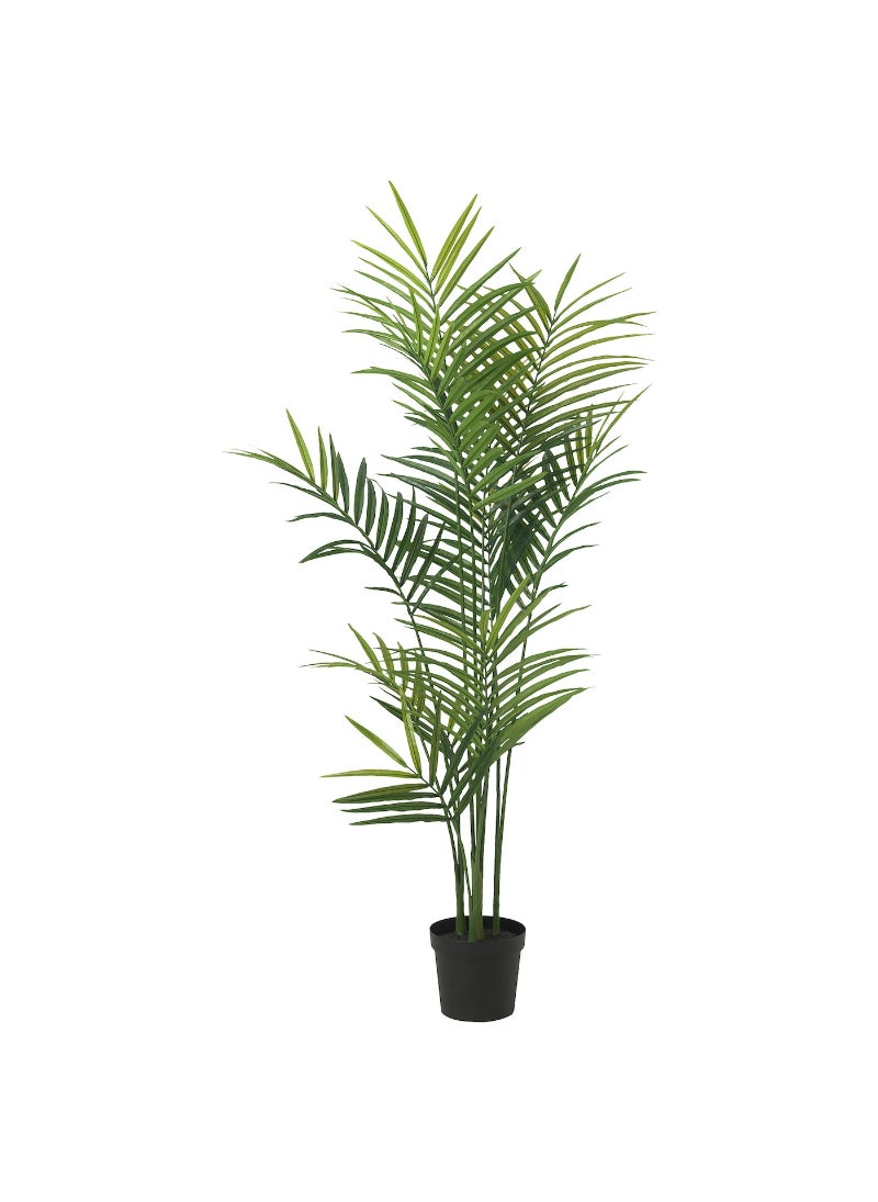 Artificial Potted Plant Indoor & Outdoor Kentia Palm 23 Cm