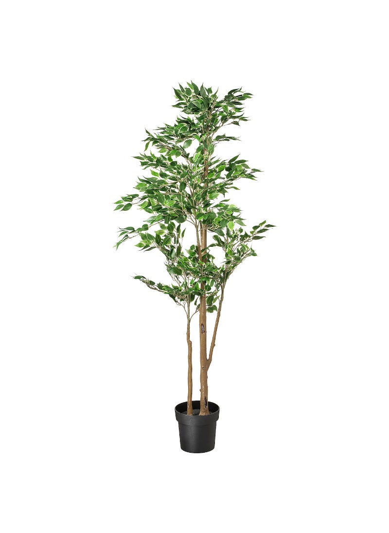 Artificial Potted Plant Indoor & Outdoor Weeping Fig 21 Cm