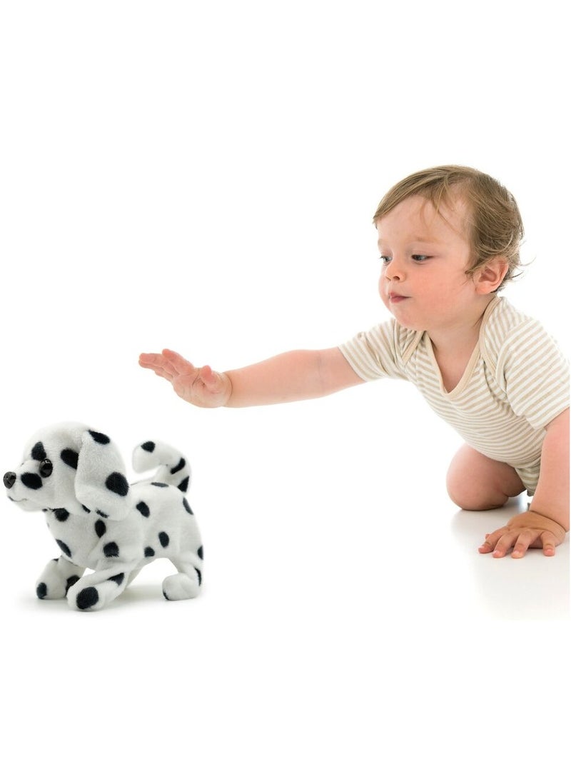 Spotty the Dalmatian