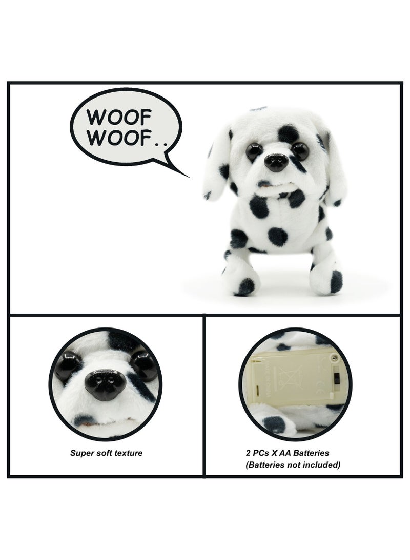 Spotty the Dalmatian