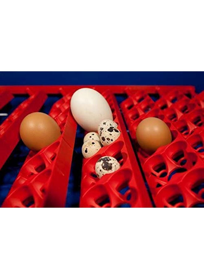 24 Eggs Intelligent Automatic Egg Incubator 100.0 W BAIR24 Blue/White/Yellow