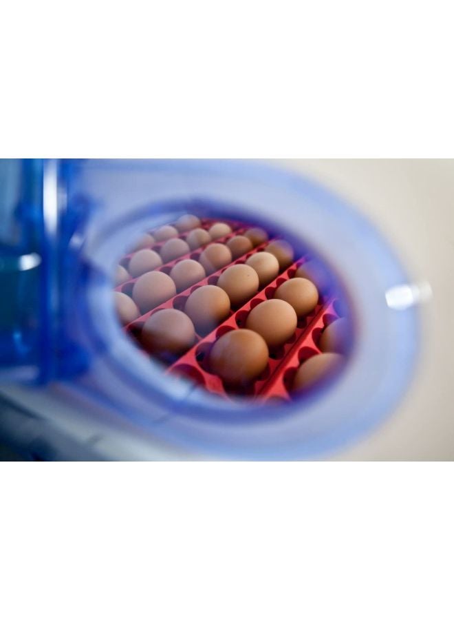 24 Eggs Intelligent Automatic Egg Incubator 100.0 W BAIR24 Blue/White/Yellow