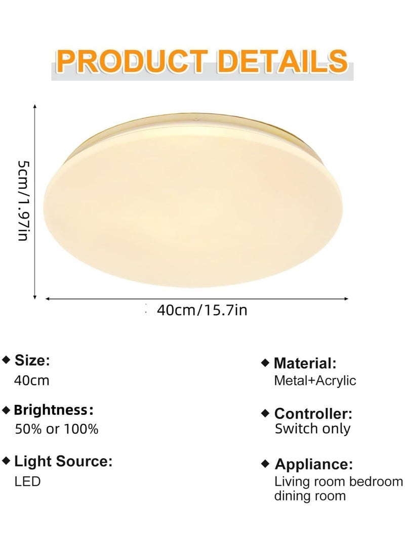 Round LED Ceiling Light Fixture Modern Simple Ultra-thin Flush Mount Ceiling Lamp for Bedroom Living Room Dining Room Kitchen Island Hallway
