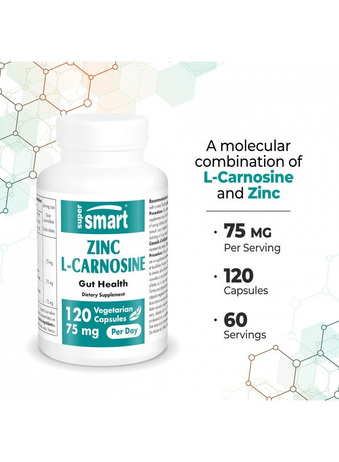 Supersmart - Zinc L-Carnosine 75Mg Per Day (Zinc Carnosine) - Gi Tract Support - Gut Restore And Digestive Health - Acid Reflux Relief | Non-Gmo And Gluten Free - 120 Vegetarian Capsules