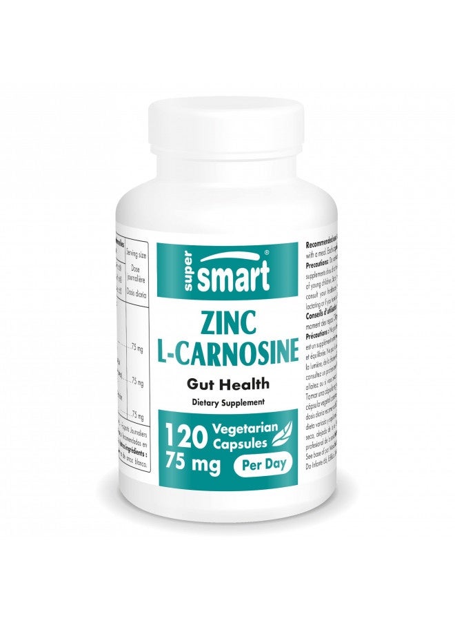 Supersmart - Zinc L-Carnosine 75Mg Per Day (Zinc Carnosine) - Gi Tract Support - Gut Restore And Digestive Health - Acid Reflux Relief | Non-Gmo And Gluten Free - 120 Vegetarian Capsules