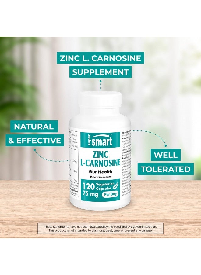 Supersmart - Zinc L-Carnosine 75Mg Per Day (Zinc Carnosine) - Gi Tract Support - Gut Restore And Digestive Health - Acid Reflux Relief | Non-Gmo And Gluten Free - 120 Vegetarian Capsules