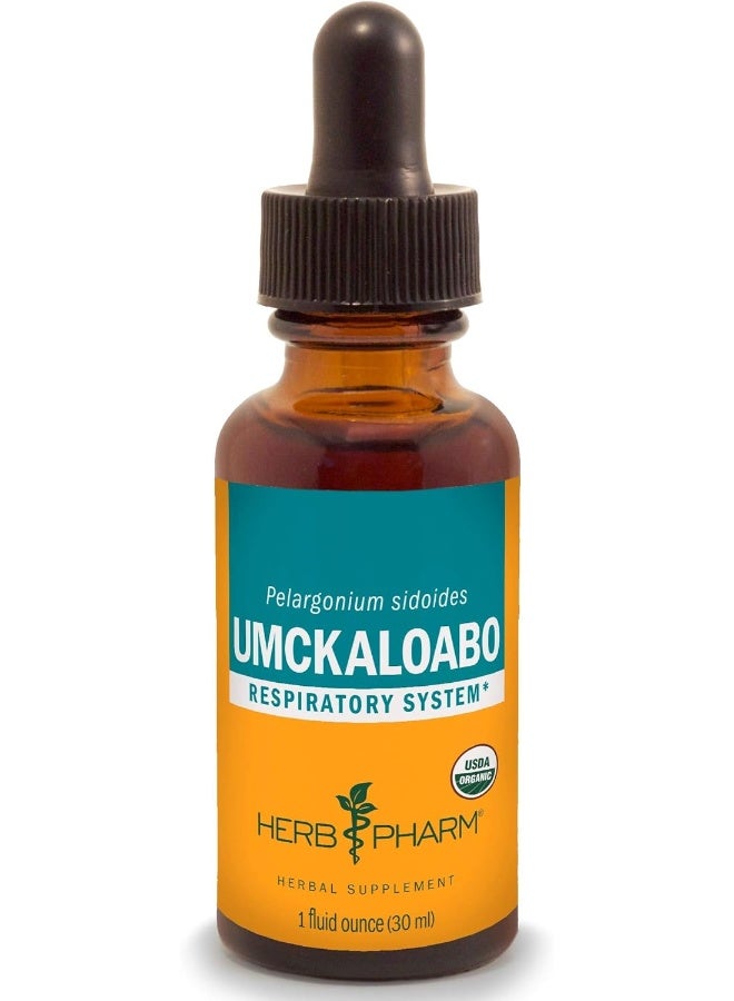 Certified Organic Umckaloabo Liquid Extract For Respiratory System Support 1 Ounce