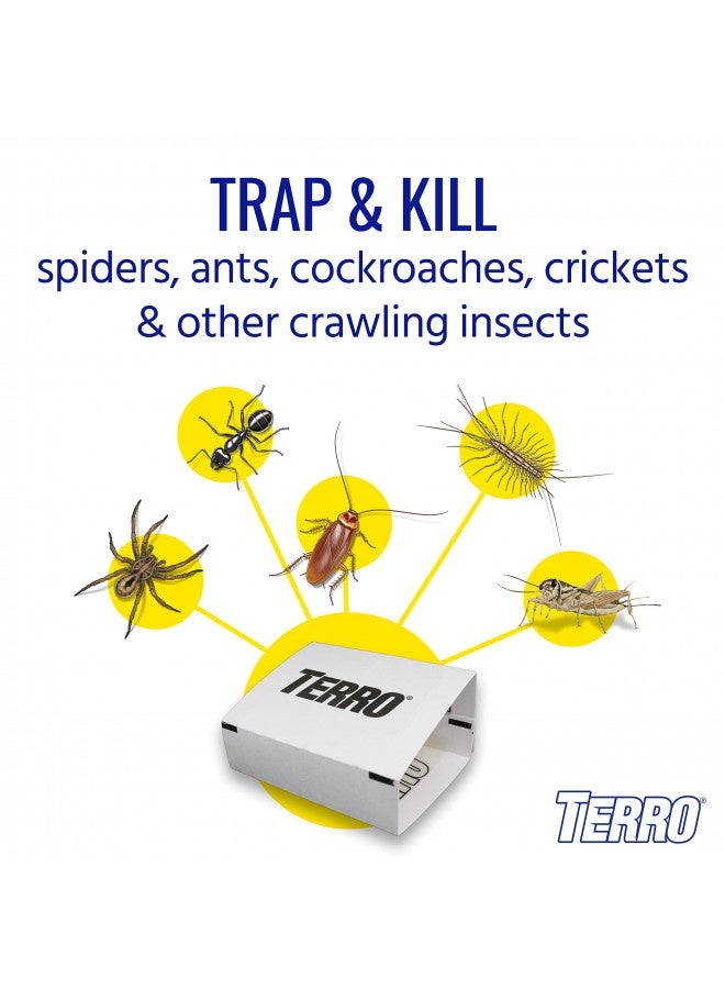 Terro T3206 Spider And Insect Trap, 4 Count (Pack Of 1)