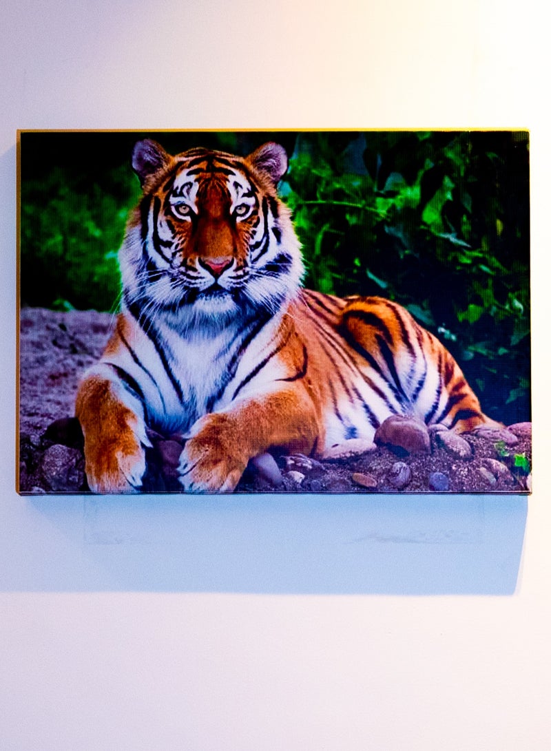 Fierce Tiger Canvas Wall Frame