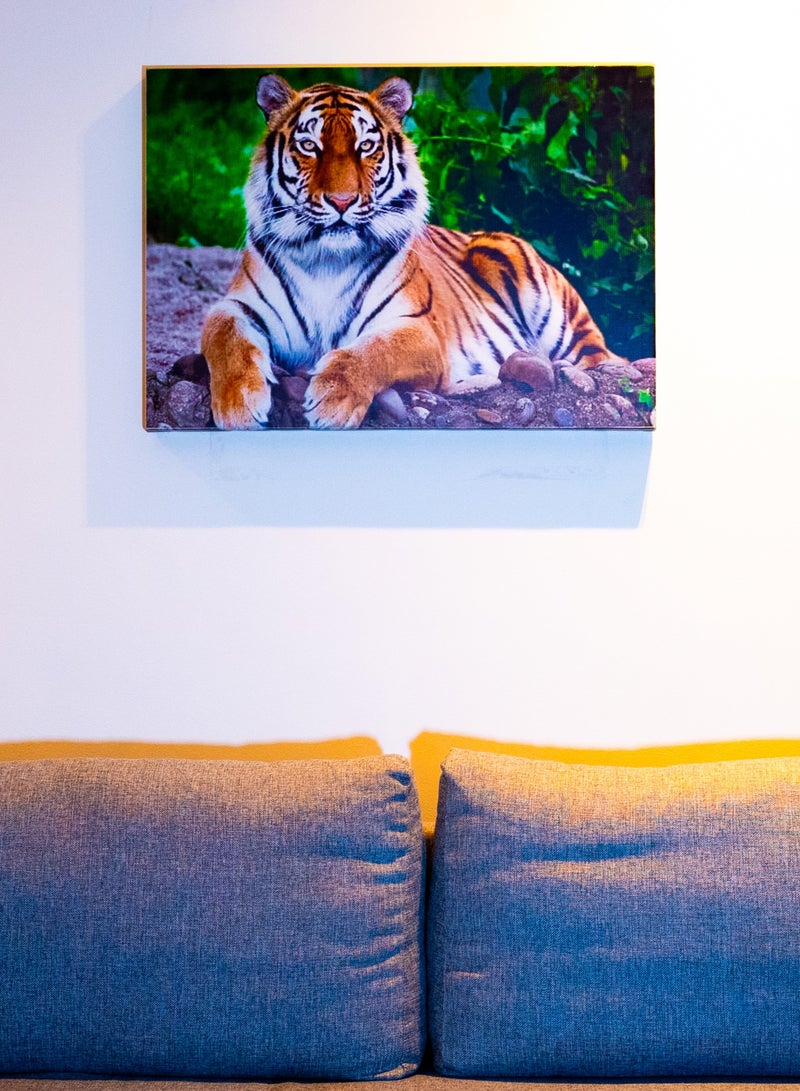 Fierce Tiger Canvas Wall Frame