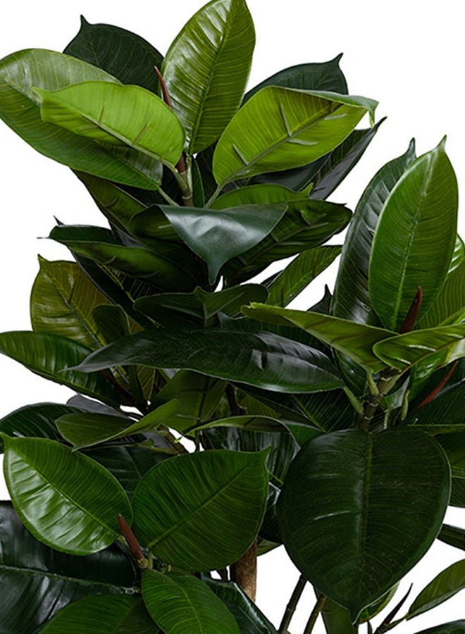 Artificial Potted Rubber Tree Green - 120 cm