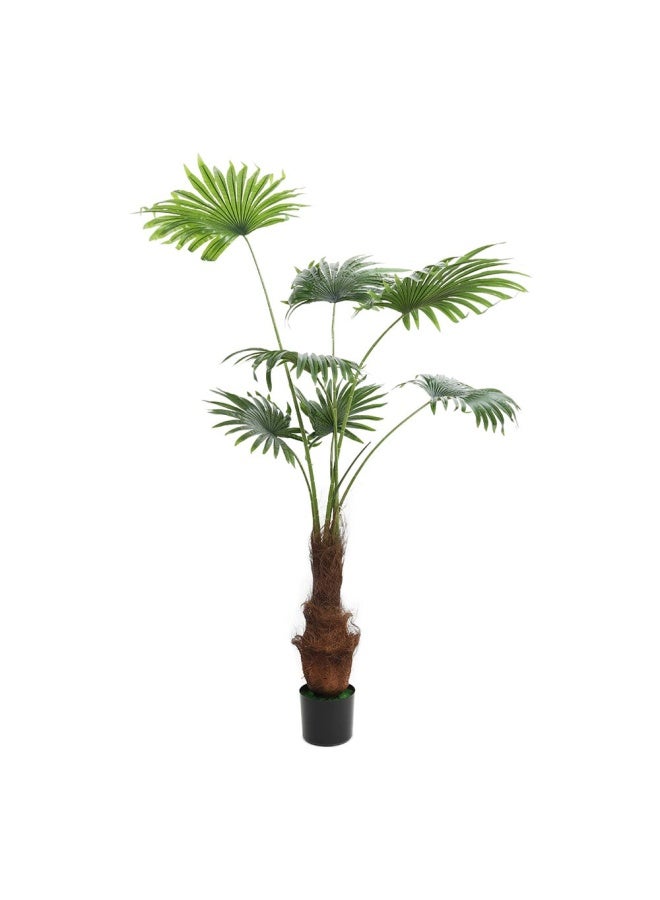 Fedila Arti. Tree W/ Pot 1.8M