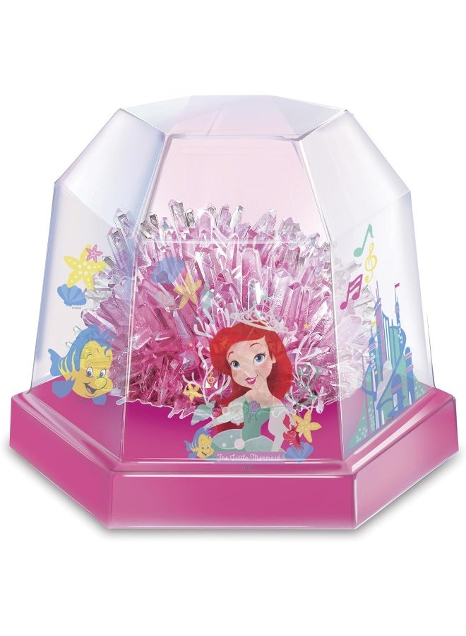 4M Disney Ariel/Crystal Terrarium/EU