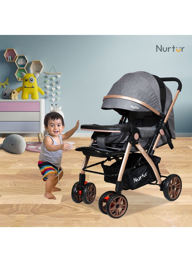 Wilder Baby Kids Travel Stroller 0 to 3 years Storage Basket Detachable Food Tray 5 Point Safety Harness Adjustable Backrest and Canopy Reversible Handle