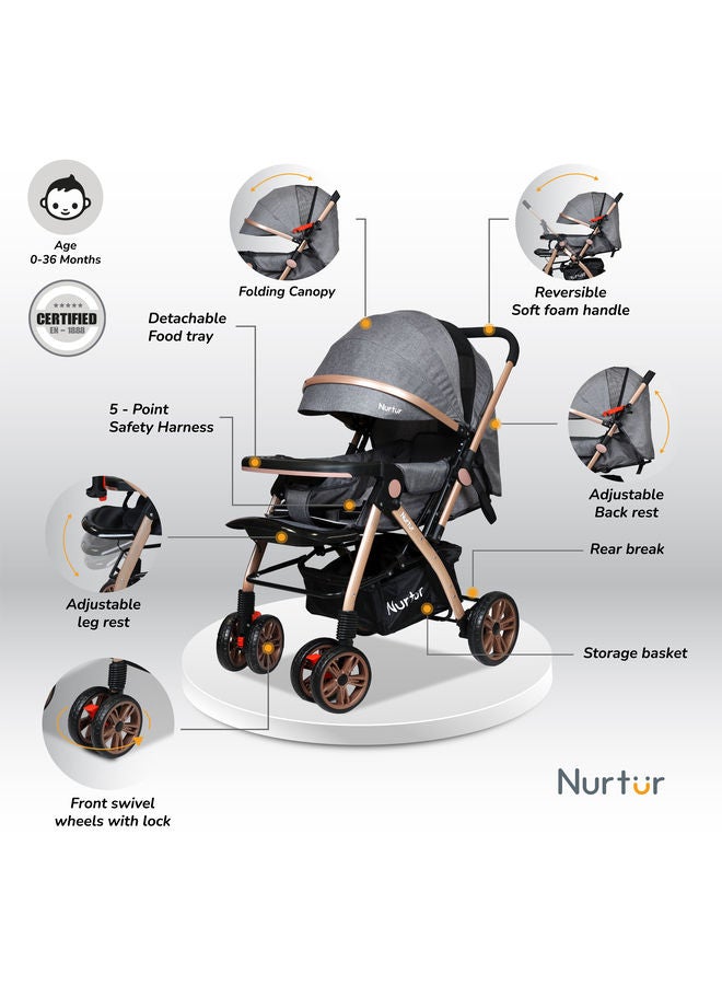 Wilder Baby Kids Travel Stroller 0 to 3 years Storage Basket Detachable Food Tray 5 Point Safety Harness Adjustable Backrest and Canopy Reversible Handle