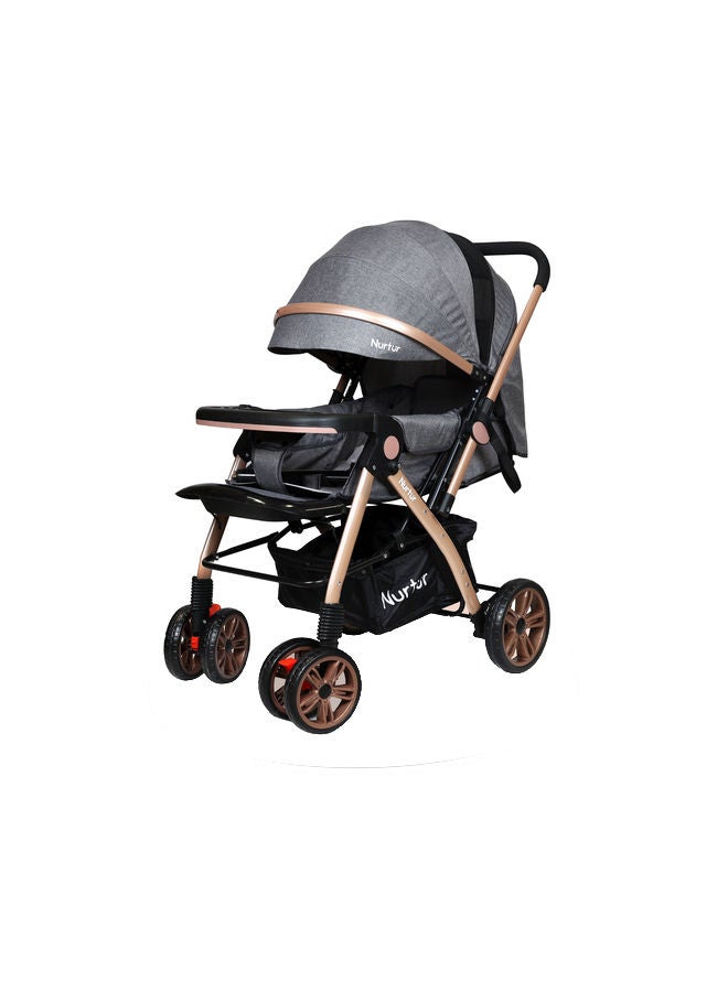 Wilder Baby Kids Travel Stroller 0 to 3 years Storage Basket Detachable Food Tray 5 Point Safety Harness Adjustable Backrest and Canopy Reversible Handle