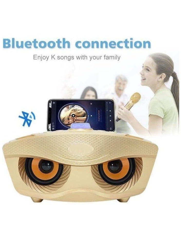 SD306 Plus Portable Karaoke Machine: Bluetooth Speaker with Mixer System and 2 Mics for Parties, Church, and More