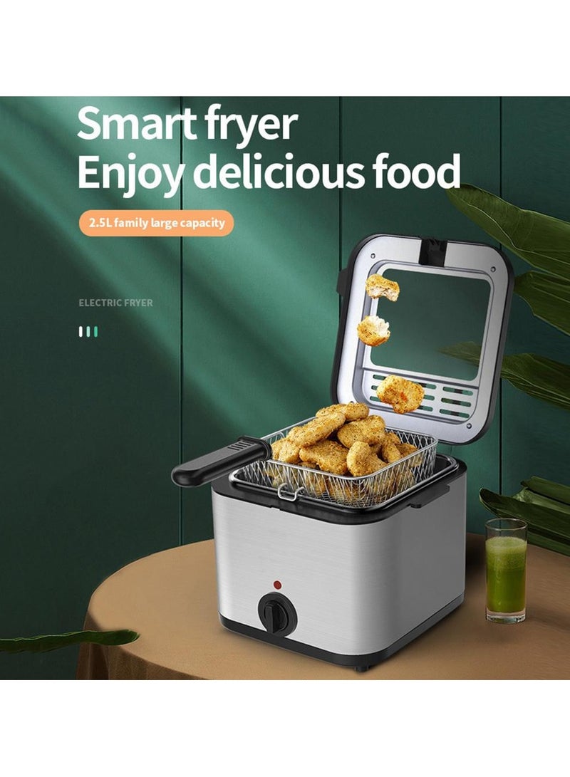 2.5L Electric Fryer, 1000W Household Small Stainless Steel Deep Fryer with Multi-Function Kebab Feature, High Power Mini Kitchen Fryer for Crispy French Fries, Chicken, Fish, and More