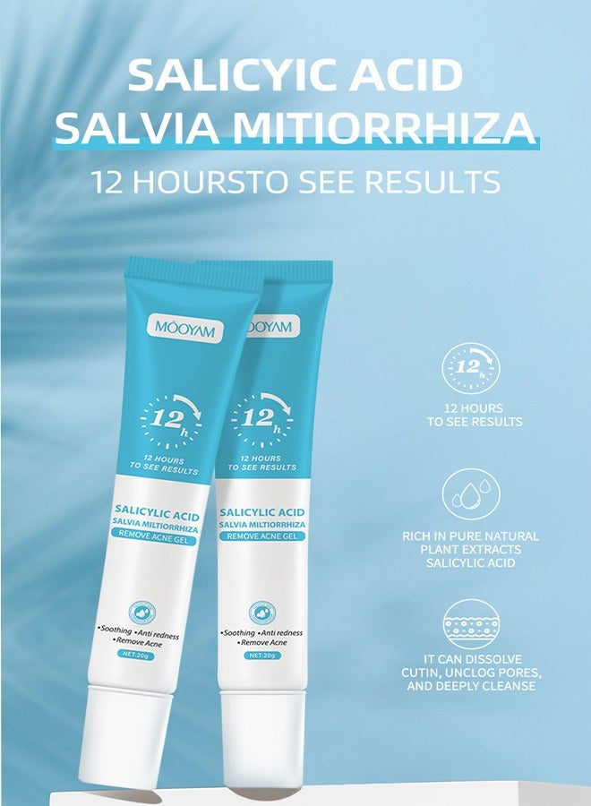 Salicylic Acid Salvia Miltiorrhiza Remove Acne Gel - Rapid Action Acne Spot Treatment for Face Closure & Acne Dots, Premium Acne Scar Gel & Pimple Remover 20g