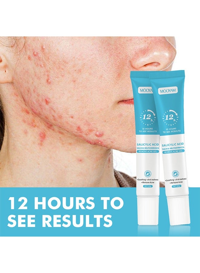 Salicylic Acid Salvia Miltiorrhiza Remove Acne Gel - Rapid Action Acne Spot Treatment for Face Closure & Acne Dots, Premium Acne Scar Gel & Pimple Remover 20g