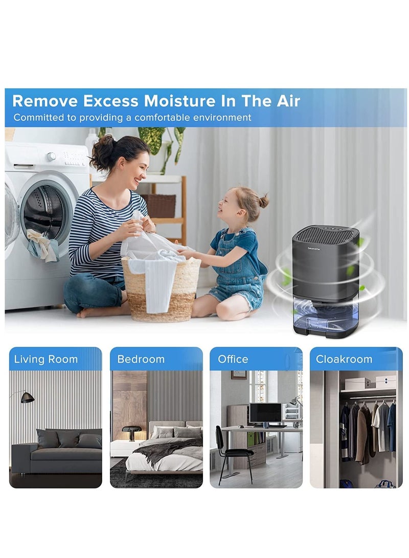 Dehumidifier Bathroom Dehumidifier Home Dehumidifier Bedroom Quiet Dehumidifier Small Portable Automatic Shut-off Dehumidifier for Basement Closet Kitchen Garage