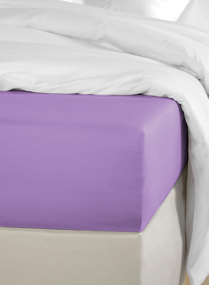 Double Plain Fitted Sheet with 2 Pillow Case 160 x 200 Cm Lavender