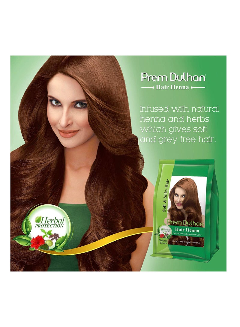 Prem Green Dulhan Natural Henna Based Hair Color Natural Brown Pack of 4