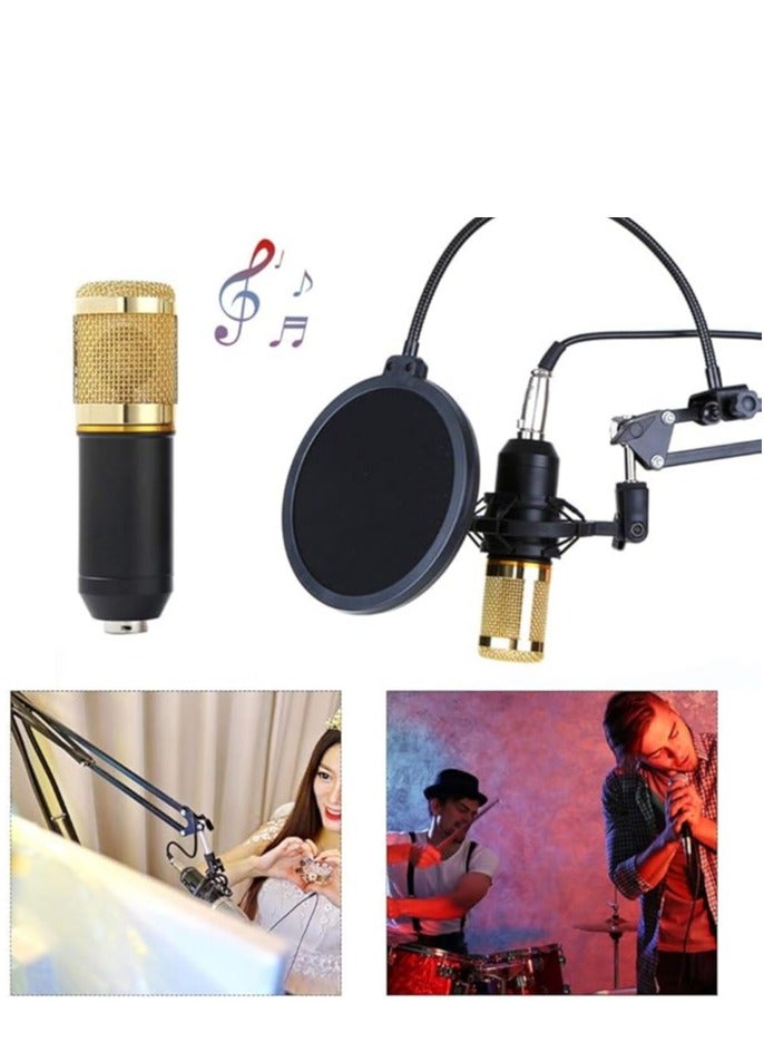 Condenser Microphone BundleMic Kit with Live Sound Card Adjustable Mic Suspension Scissor Arm BM8006 Gold