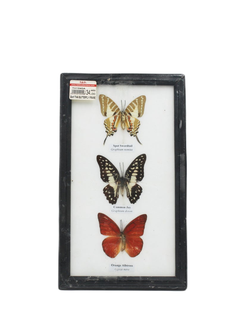 Thailand 3 In 1 Butterfly Frame 6x10 Inch