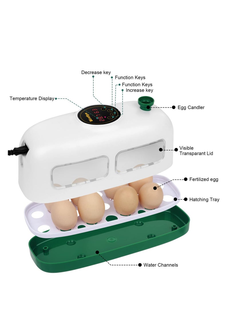 Mini Egg Incubator for 8 Eggs with Humidity and Temperature Control for Hatching Chicks, Quail, Duck, Goose and Bird Eggs