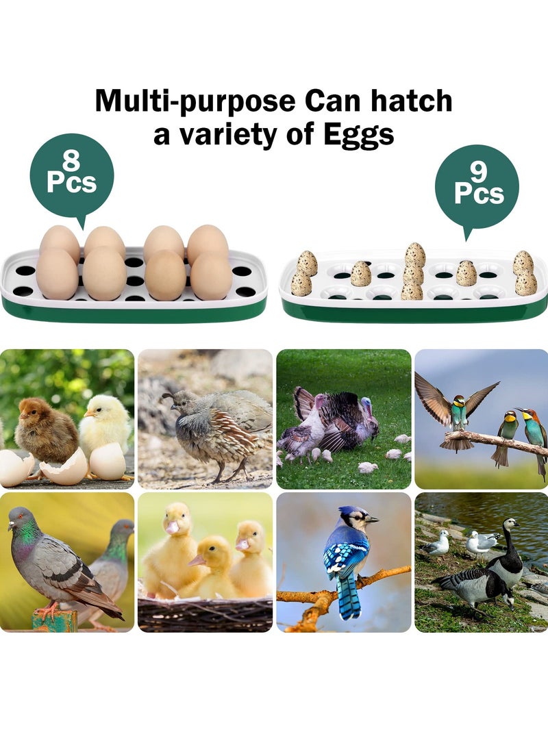 Mini Egg Incubator for 8 Eggs with Humidity and Temperature Control for Hatching Chickens Quails Ducks and Birds