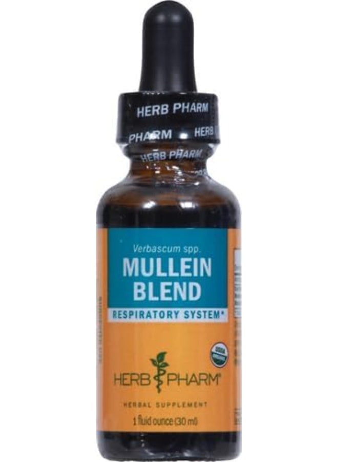 Herb Pharm Certified Organic Mullein Blend Liquid Extract for Respiratory System Support - 1 Ounce