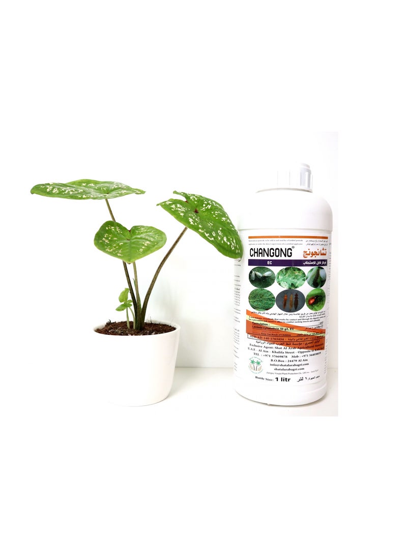 Changong Pesticide Lambda cyhalothrin 50 g/L EC 1Ltr For Sucking and Cutworms Leafminer insects is an Effective Solution Designed for the Control of a Variety of Pests in Agricultural Settings.