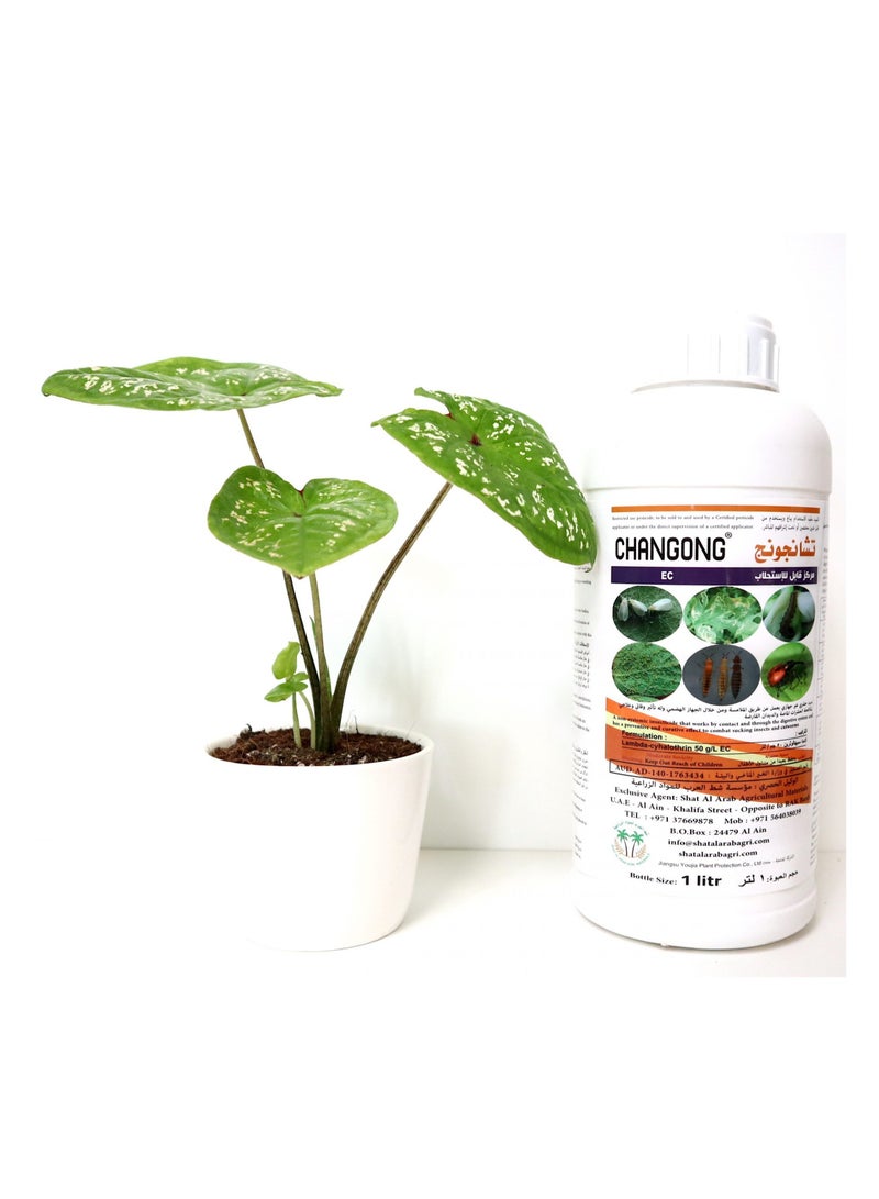 Changong Pesticide Lambda Cyhalothrin 50 g/L EC 1Ltr For Sucking and Cutworms Leafminer insects