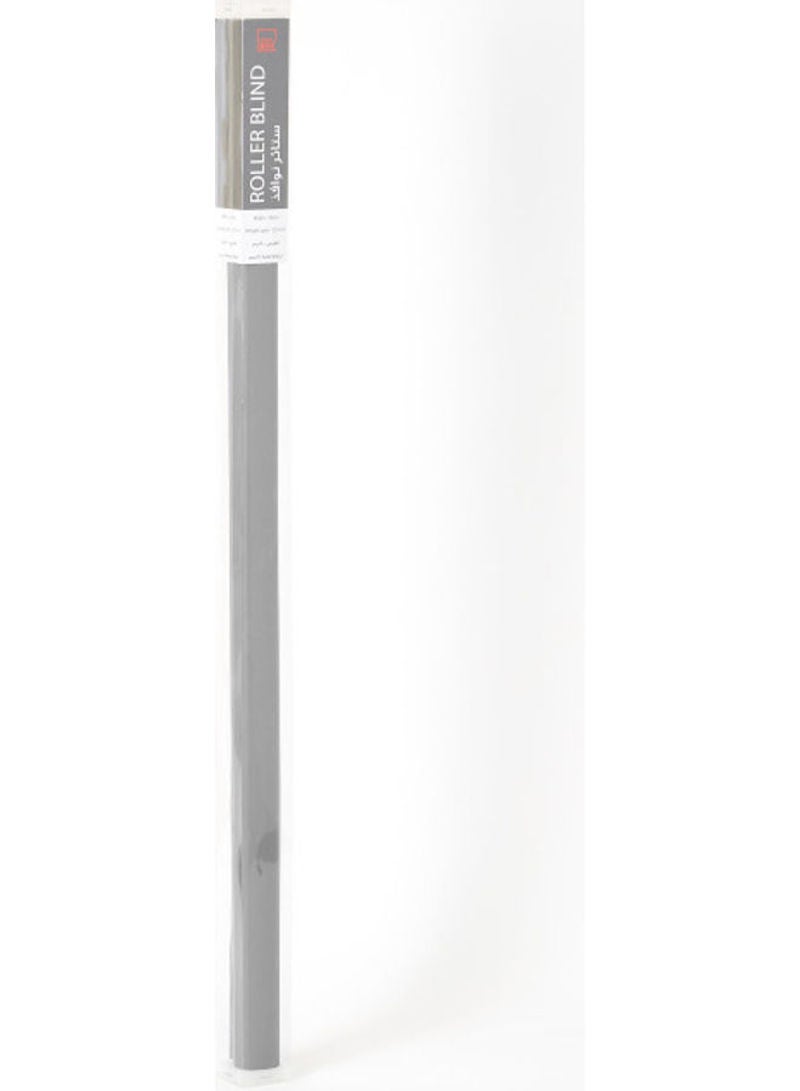 Martin Translucent Roller Blind Grey 90 x 210cm