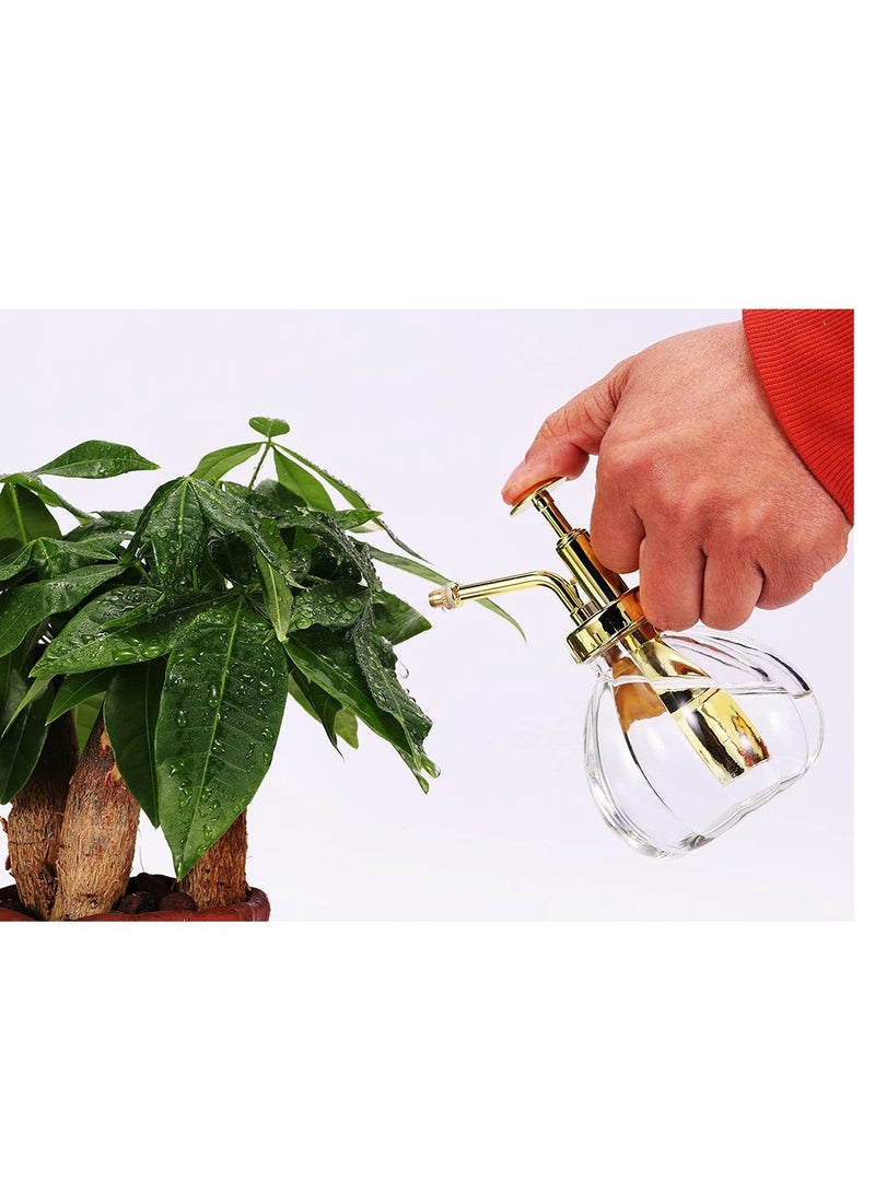 Glass Plant Mister Spray Bottle, 6.3 Inches Clear Glass Water Spray Bottle with Gold Top Pump Small Watering Can, Small Plant Sprayer Mister for Indoor Outdoor House Plant (Clear + Gold)