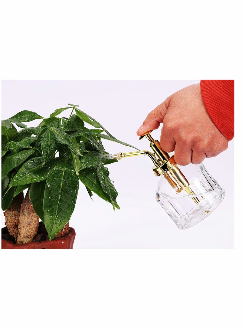 Glass Plant Mister Spray Bottle, 6 Inches Clear Glass Water Spray Bottle with Gold Top Pump Small Watering Can, Small Plant Sprayer Mister for Indoor Outdoor House Plant (Clear + Gold)