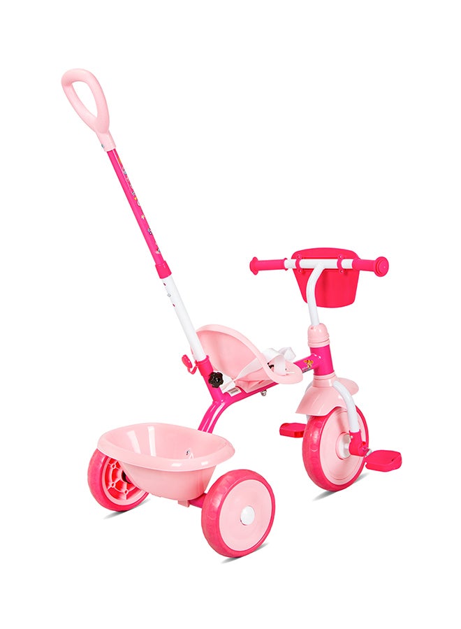 Paw Patrol Girls Tricycle with Pushbar