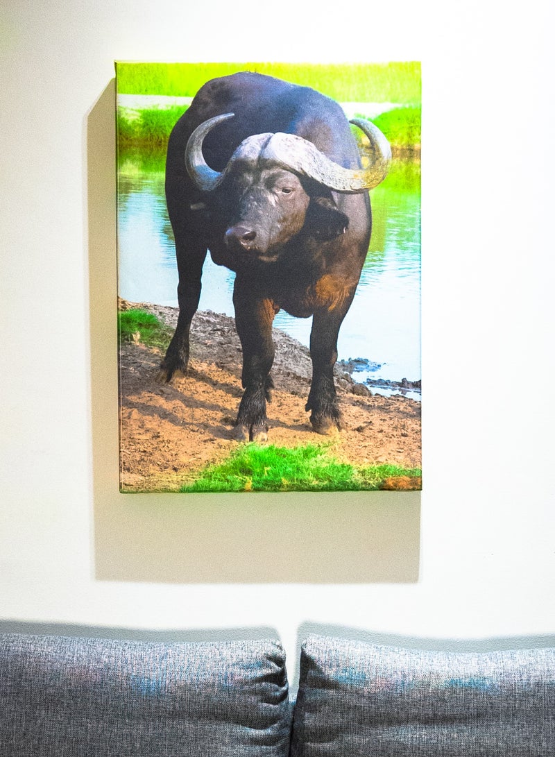 Buffalo at Dusk Canvas Wall Frame