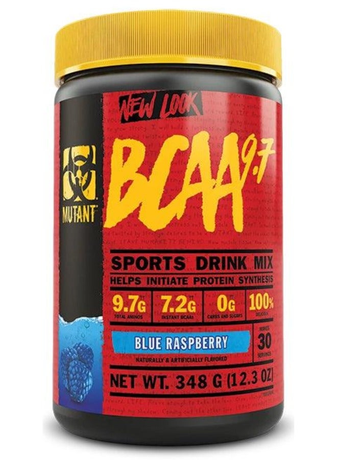 Bcaa 9.7 Blue Raspberry Flavour 30 Servings