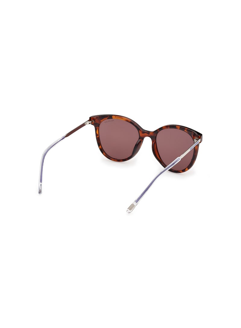 Girls Round Shape  Sunglasses SE0002452D52 Lens Size: 52 Millimeter - Dark Havana