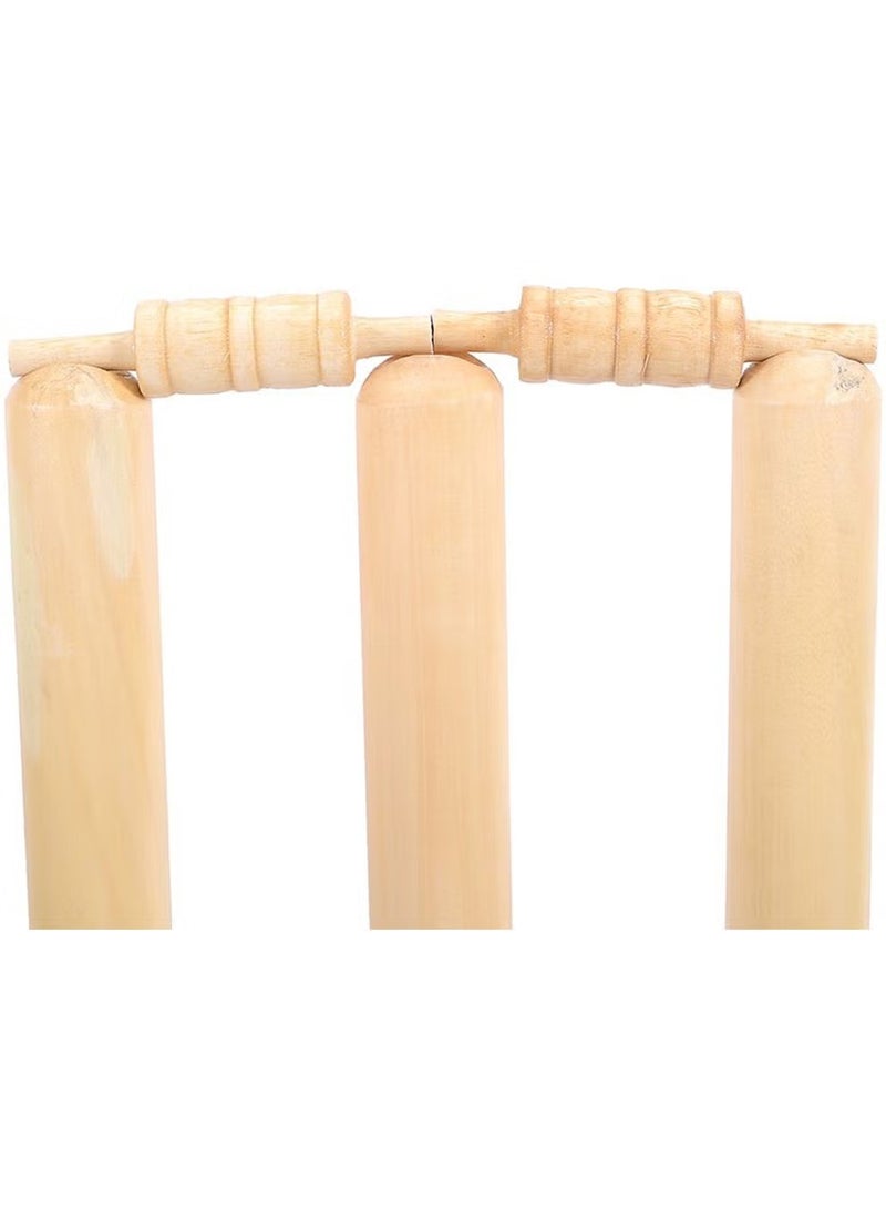 Cricket Stumps With Spring Stand