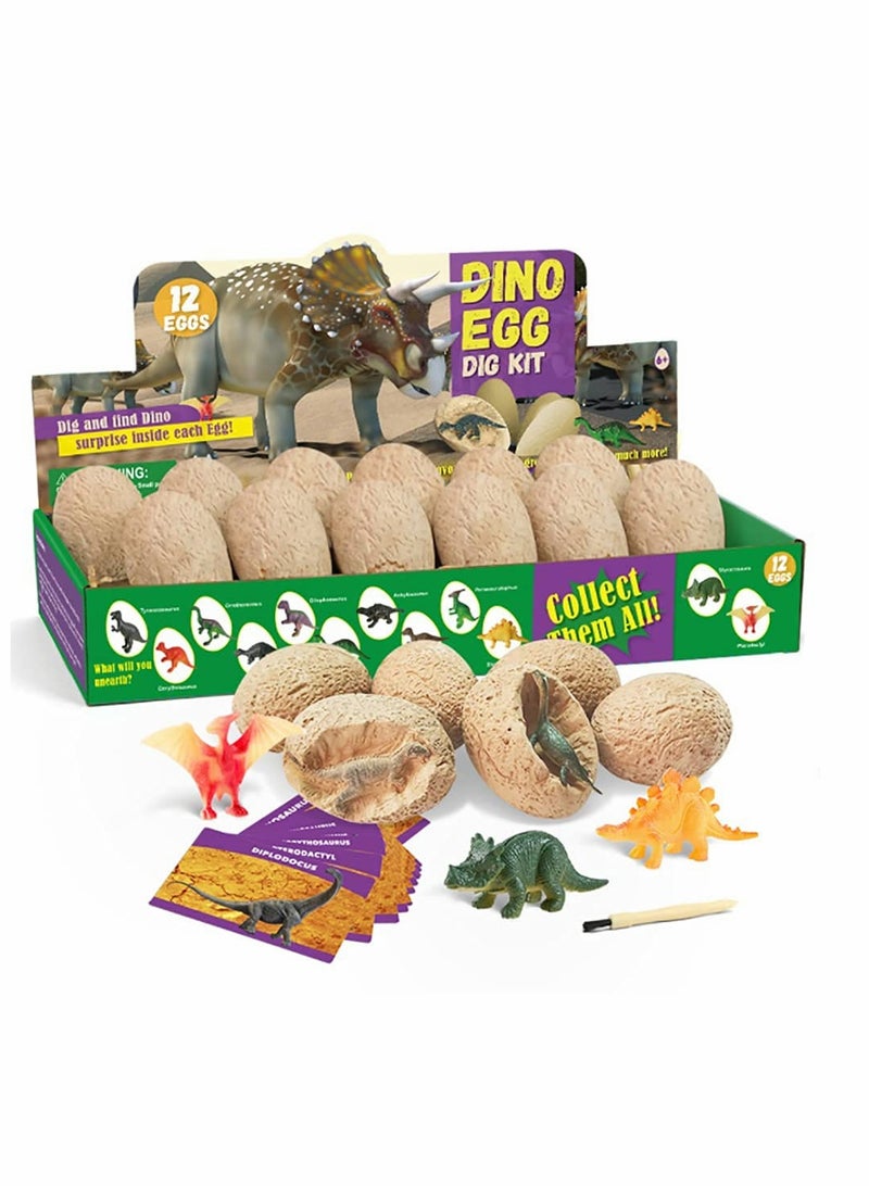 Archaeological excavation toys 12 Different Fossil/Eggs with 12 Excavation Kits,Excavation Educational Science Gifts for Kids Party Archaeology Paleontology Toy (Dinosaur Eggs)