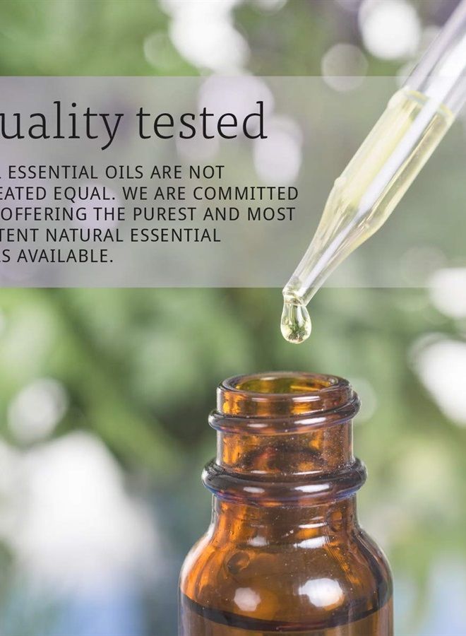 Essential Oils, Rosemary Oil, Purifying Aromatherapy Scent, Steam Distilled, 100% Pure, Vegan, Child Resistant Cap, 1-Ounce