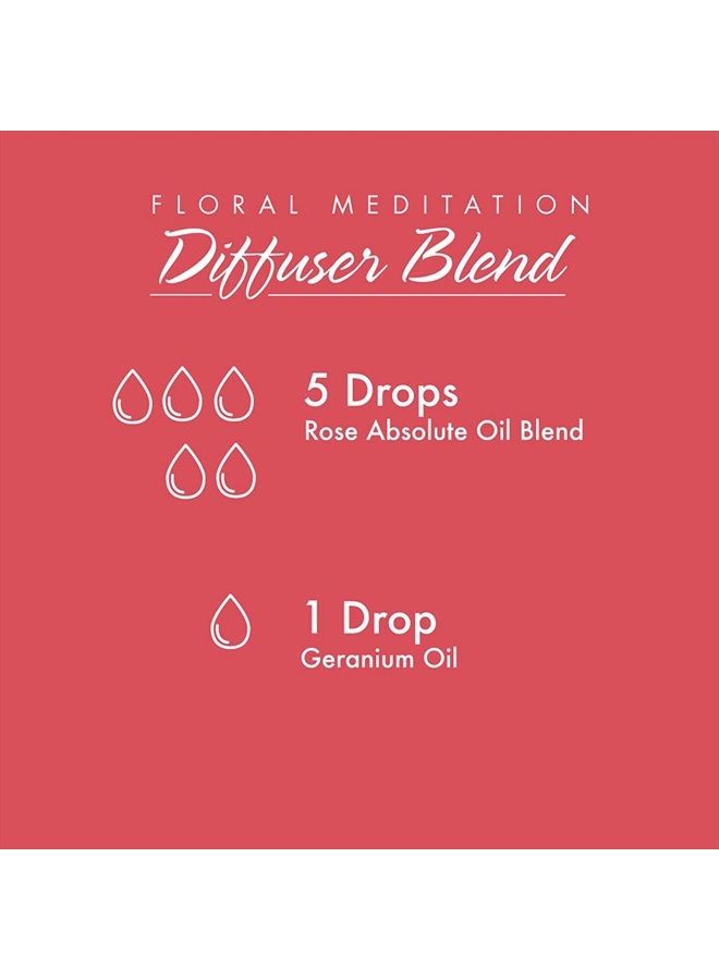 Essential Oils, Rose Absolute, 5% Blend of Pure Rose Absolute Oil in Pure Jojoba Oil, Romantic Aromatherapy Scent, Vegan, Child Resistant Cap, 1-Ounce