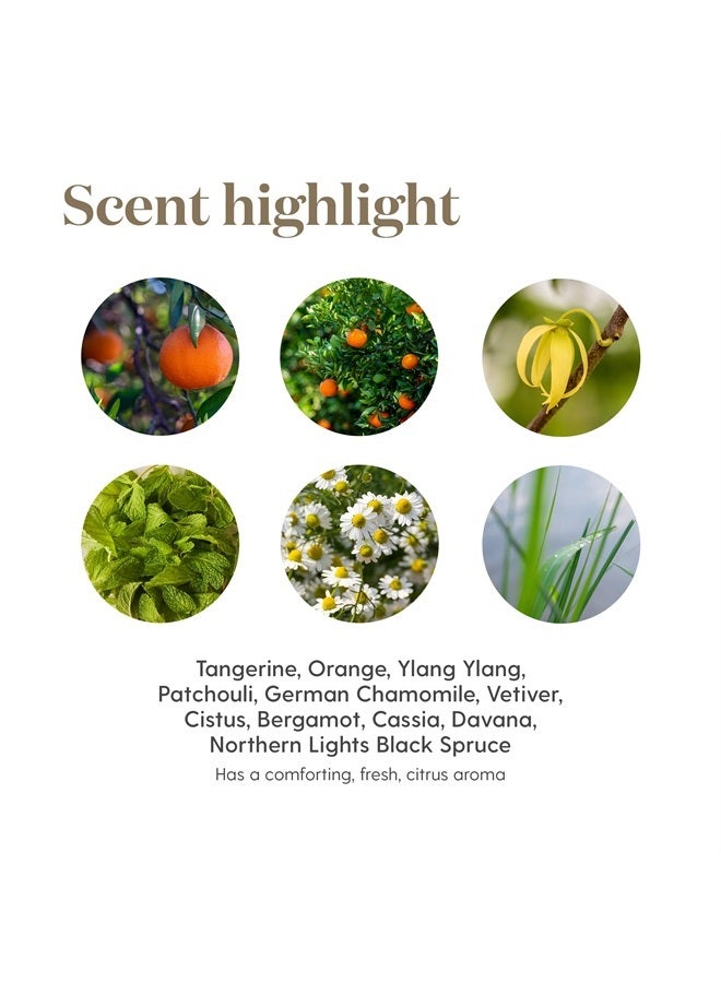 Peace & Calming II Essential Oil - 5ml - 100% Pure and Premium-Grade - Diffuser-Friendly - Comforting, Fresh Citrus Aroma - Promotes Peaceful Meditation