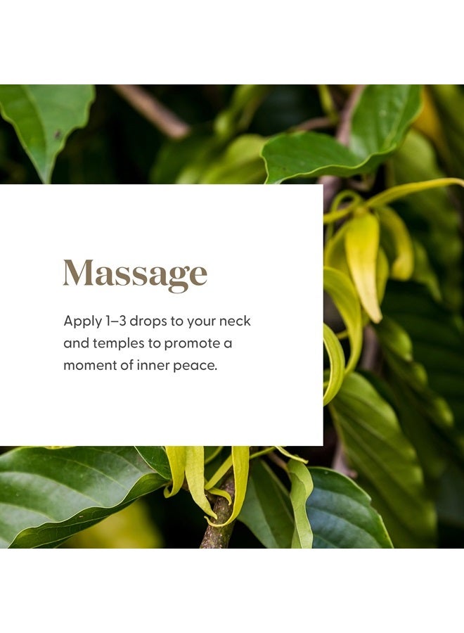 Peace & Calming II Essential Oil - 5ml - 100% Pure and Premium-Grade - Diffuser-Friendly - Comforting, Fresh Citrus Aroma - Promotes Peaceful Meditation